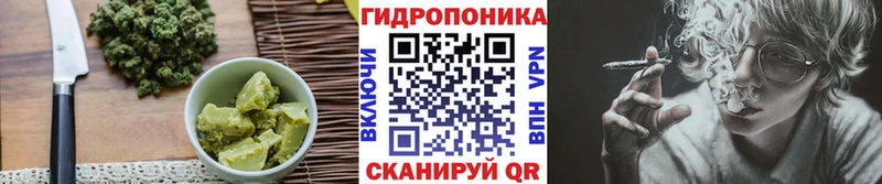 Печенье с ТГК марихуана  OMG как войти  Кашин 