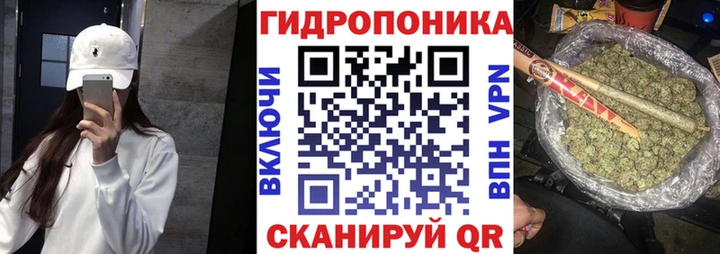 Марихуана марихуана  Кашин 